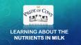 Learning about the nutrients in milk PowerPoint PPT Presentation