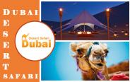 dubai desert safari tours 2016