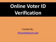 Voter ID verification