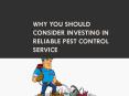 Why you should consider investing in reliable pest control Service PowerPoint PPT Presentation