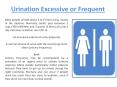 Urination Excessive or Frequent PowerPoint PPT Presentation
