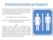 Urination Excessive or Frequent