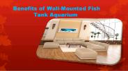 Benefits of Wall-Mounted Fish Tank Aquarium 