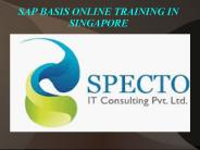 sap basis online training in singapore