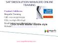sap sm online training in australia|canada|india PowerPoint PPT Presentation