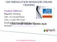 SAP SM(SOLUTION MANAGER) ONLINE TRAINING IN AUSTRALIA|GERMANY PowerPoint PPT Presentation