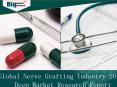 Nerve Grafting Industry Shows Speedy Growth. PowerPoint PPT Presentation
