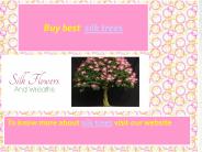 Silk trees