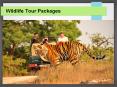 Wildlife tour packages PowerPoint PPT Presentation