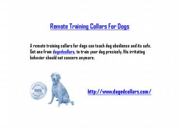 remote training collars for dogs