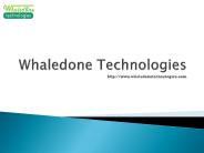 Whaledone Technologies