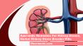 Ayurvedic Remedies For Kidney Stones, Herbal Kidney Stone Breaker Pills