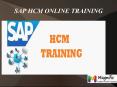 Sap HCM Online Training in Mlasia PowerPoint PPT Presentation