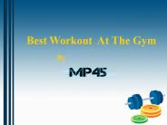 Best Workout at the Gym