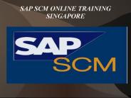 sap scm online training in singapore