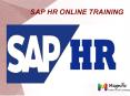 Sap Human Resource Training in USA PowerPoint PPT Presentation