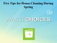 Five Tips for House Cleaning in Spring PowerPoint PPT Presentation