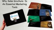 Essentiality of Brochure Design Still Remain