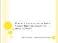 Possible Circumstances When Yellow Sapphire Gemstone Must Be Worn PowerPoint PPT Presentation