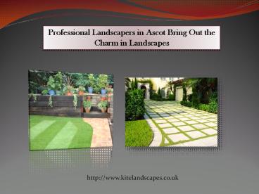 Professional Landscapers in Ascot Bring Out the Charm in Landscapes
