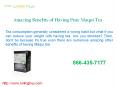 Amazing Benefits of Having Pure Maqui Tea PowerPoint PPT Presentation