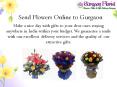 Send Online Flowers & gifts to Gurgaon PowerPoint PPT Presentation