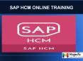 Sap Human Resource Training in Australia PowerPoint PPT Presentation