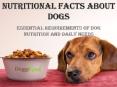 Nutritional fact about dogs PowerPoint PPT Presentation