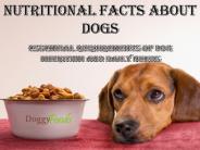 Nutritional fact about dogs