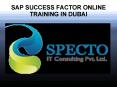 sap sucess factor online training in dubai PowerPoint PPT Presentation