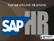 Sap Human Resource Online Training