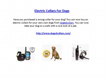 Dog Training Shock Collar
