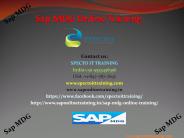 sap mdg online training in usa