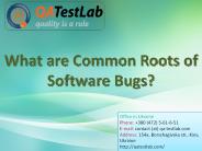 What are Common Roots of Software Bugs?