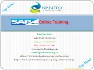 sap mdg online training in usa,uk