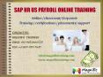 SAP HR US PAYROLL ONLINE TRAINING IN USA\UK|CANADA PowerPoint PPT Presentation