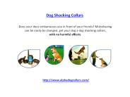 dog shocking collars