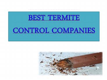 Best Termite Control Companies