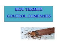 Best Termite Control Companies