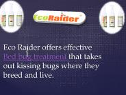 Natural Bed Bug Spray and Natural Bed Bug Killer