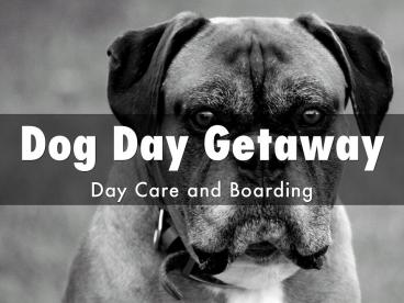 Dog Self-wash in Apple Valley MN