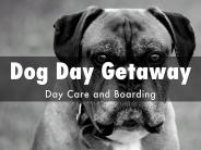 Dog Self-wash in Apple Valley MN