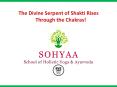 The Divine Serpent of Shakti Rises Through the Chakras! PowerPoint PPT Presentation