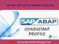 sap abap oops online training in malaysia PowerPoint PPT Presentation