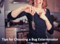 Tips for choosing a bug exterminator PowerPoint PPT Presentation
