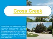 Cross Creek Real Estate
