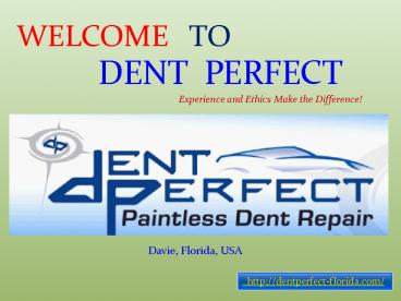 Dent Wizard in Florida (1)