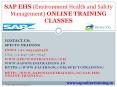 sap ehs online training in australia,usa PowerPoint PPT Presentation