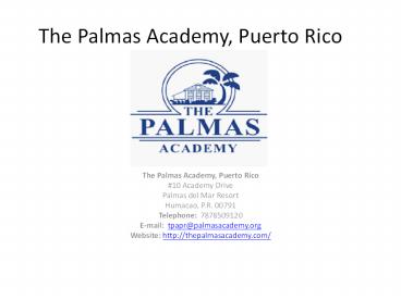 Best School In Puerto Rico | Palmas Academy