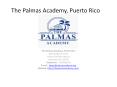 Best School In Puerto Rico | Palmas Academy PowerPoint PPT Presentation